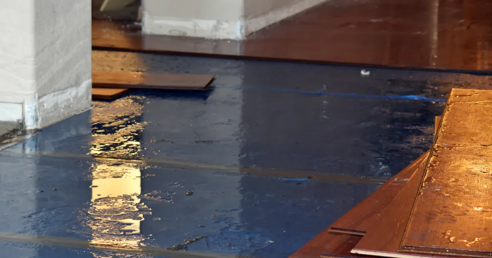 Built on Responsibility, Speed, and Trust