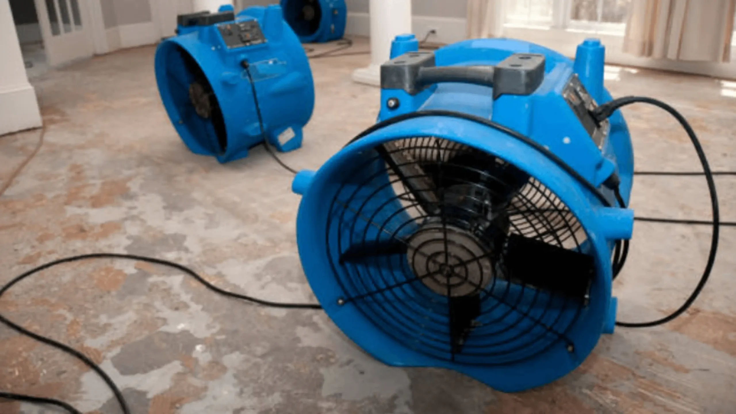 mold remediation and prevention with abc experts llc monroe nc